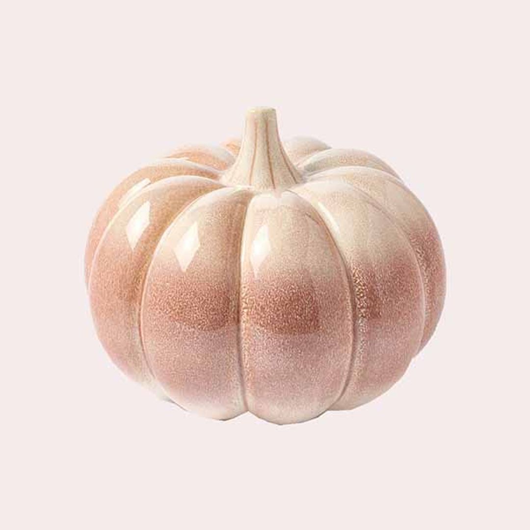 Una calabaza para la 'spooky season'