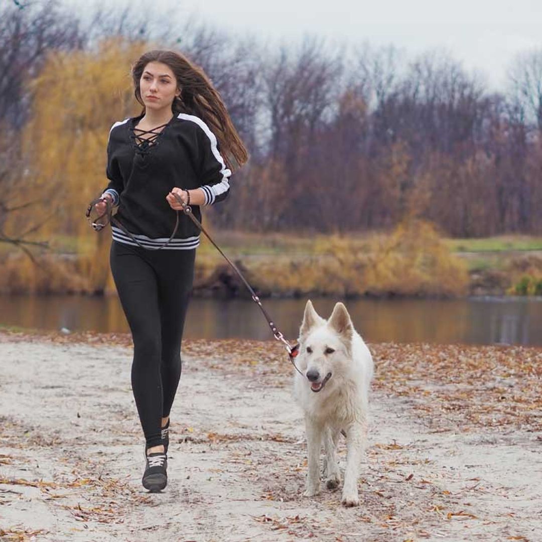 Consejos para correr con tu perro y no rendirte