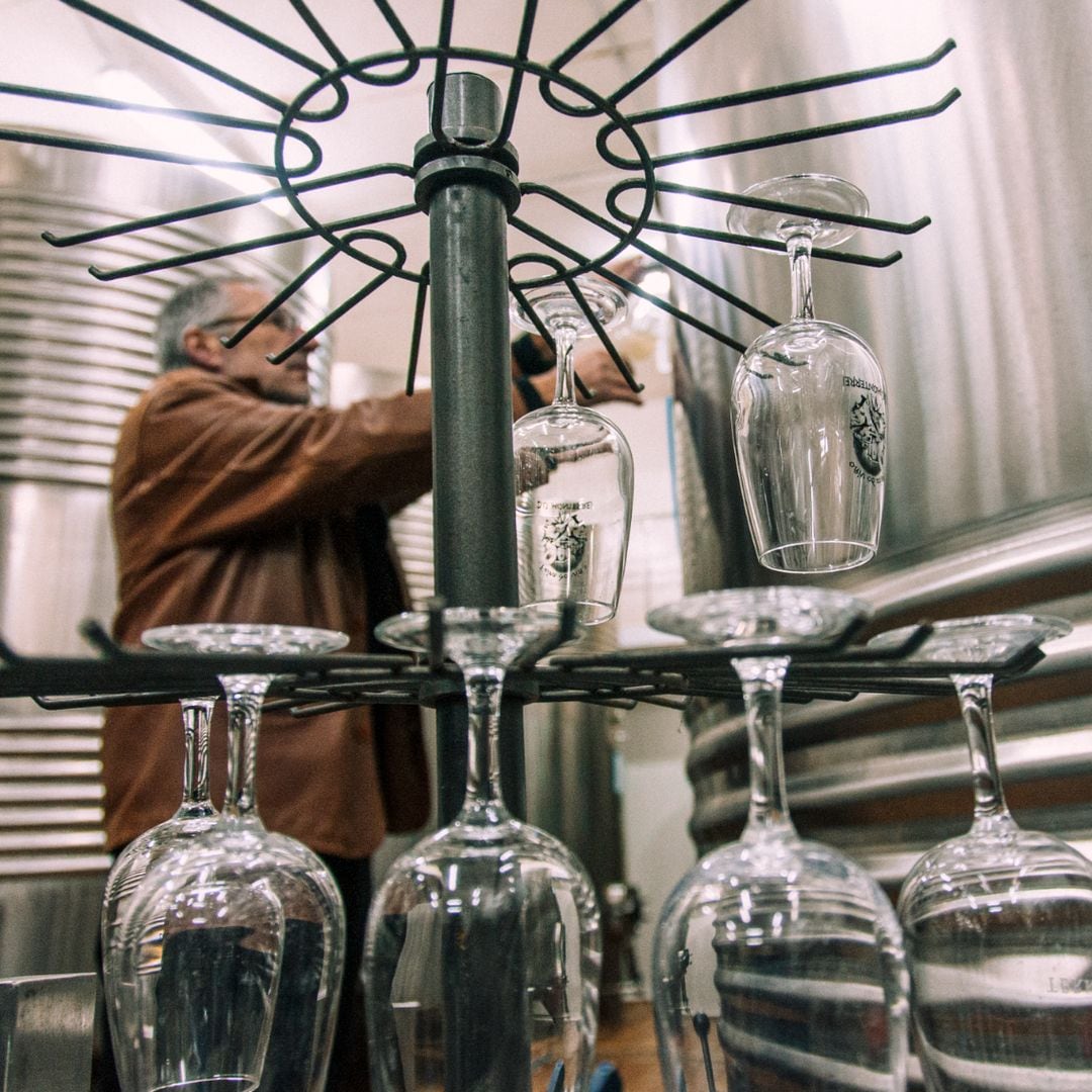 Bodega Terra Gargalos, Verín, Ourense