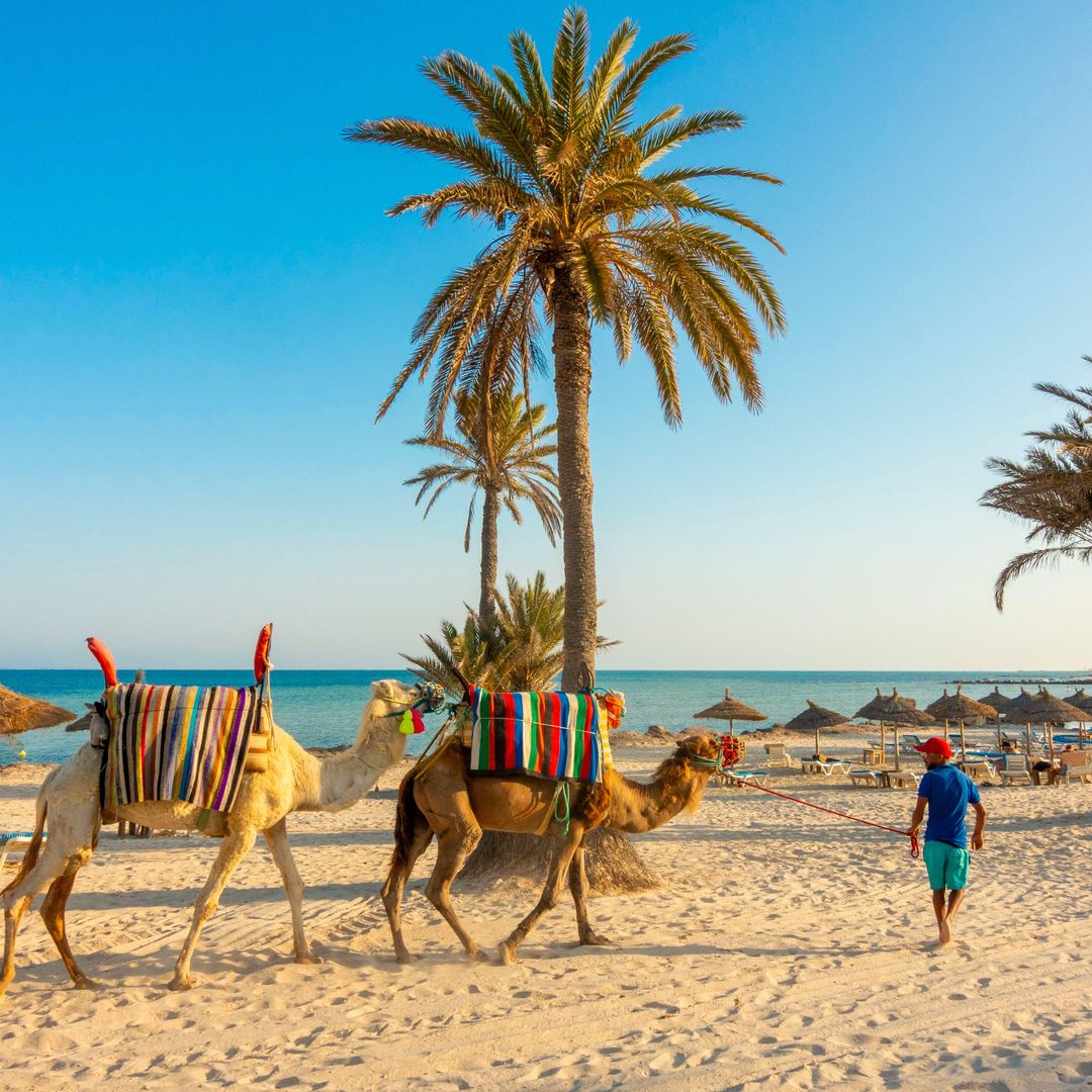 Isla de Djerba, Túnez