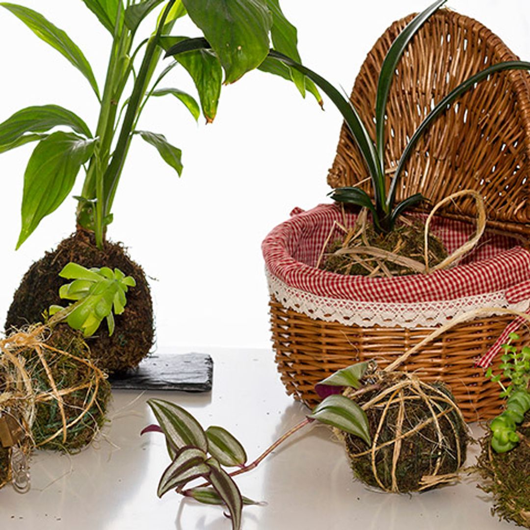 'Kokedama': El toque de naturaleza que necesitaba tu hogar llega desde Japón