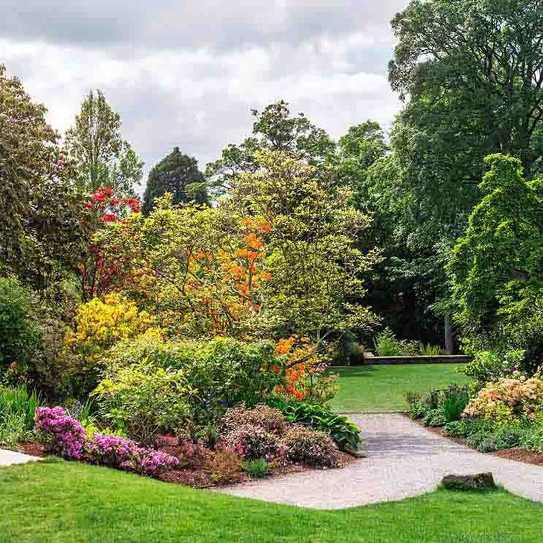 10 plantas de exterior espectaculares capaces de resistirlo todo