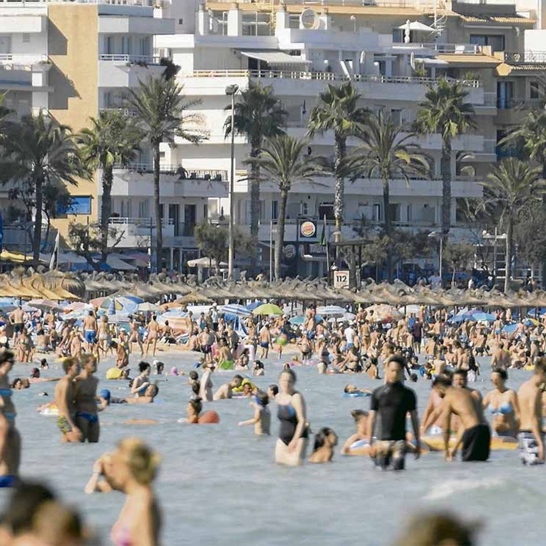 Ecozine: las películas con más conciencia que no te puedes perder