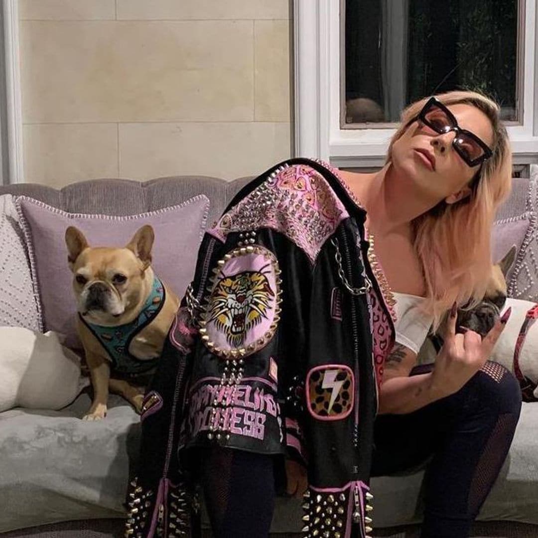 Lady Gaga no pagará la recompensa que le exigía la mujer que encontró a sus perros