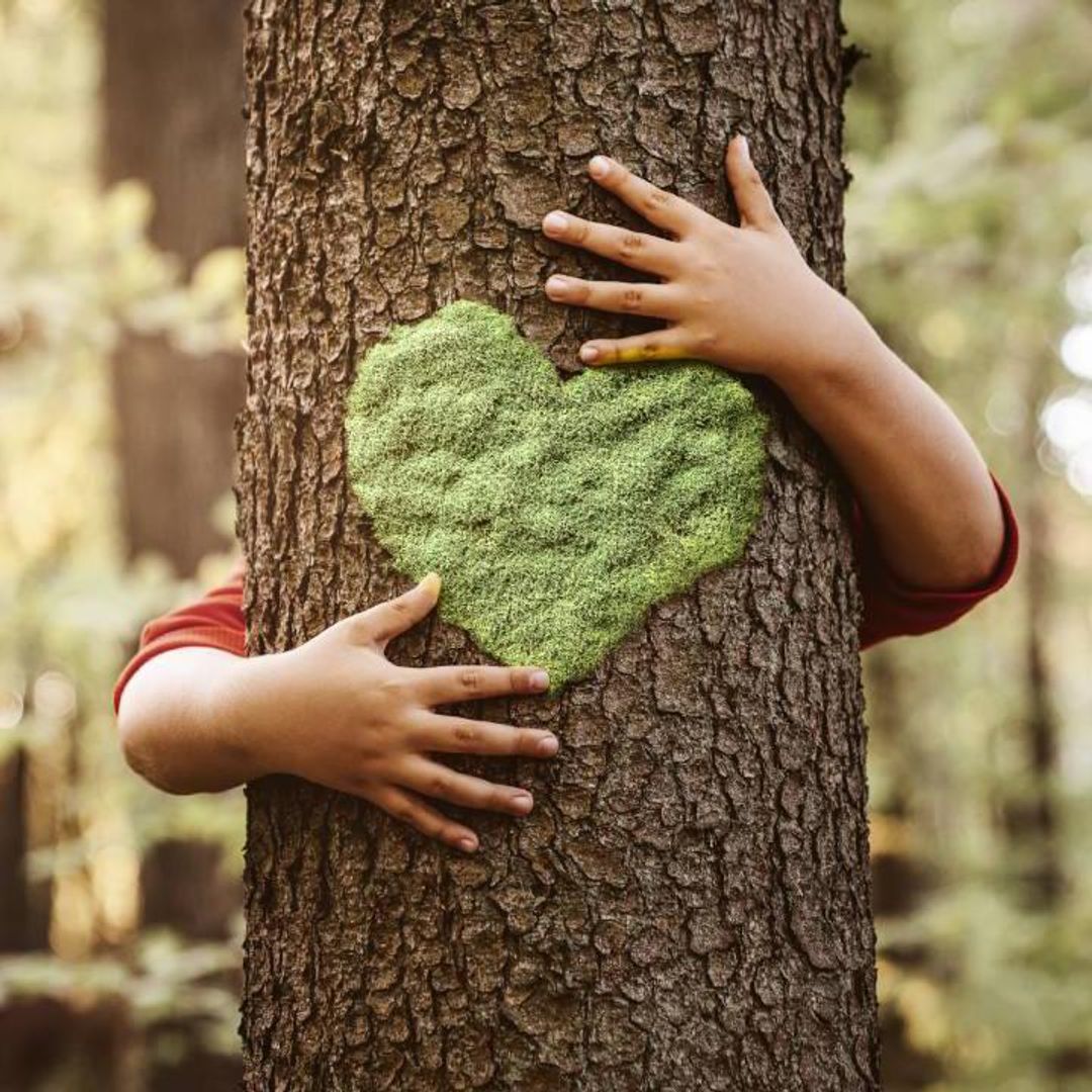 Trastorno por déficit de naturaleza, ¿cómo afecta a los niños?