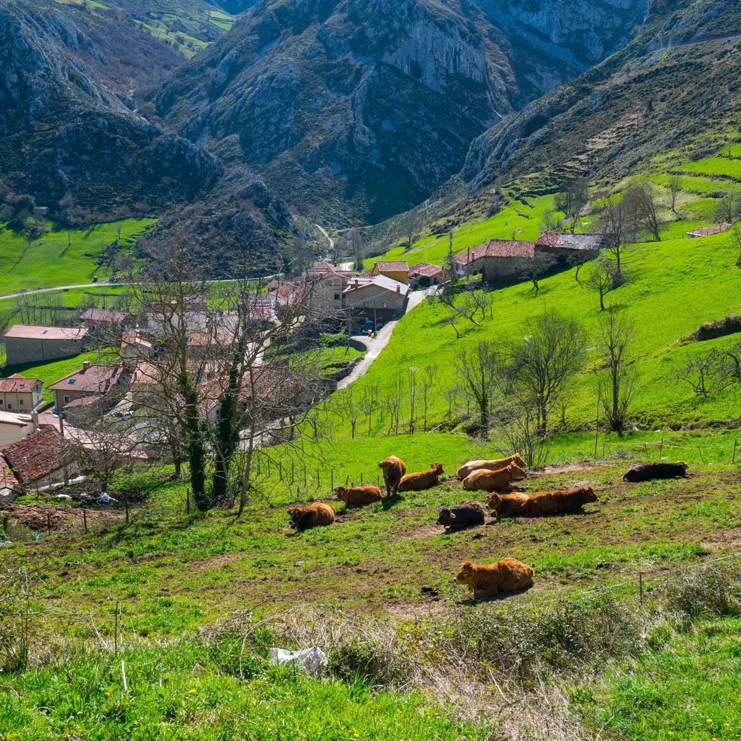 Pueblo de Bejes, Cillorigo de Liébana