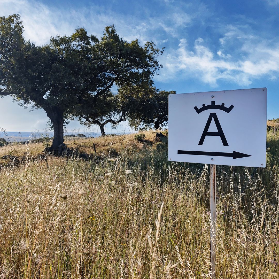Acceso a la finca Las Tiesas de Vitorino Martín, Cáceres