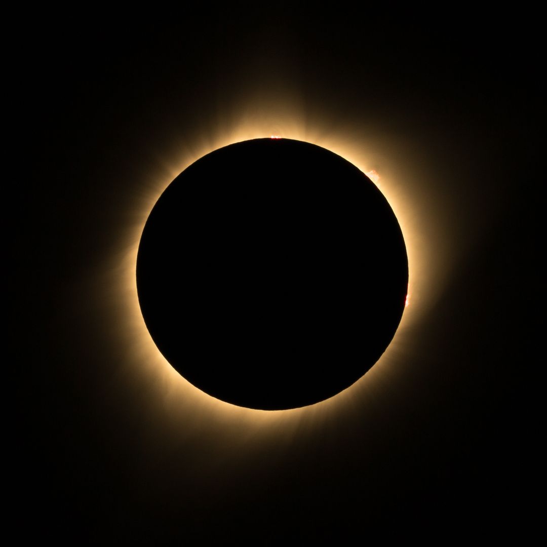 Menade ha preparado una actividad para disfrutar del eclipse.
