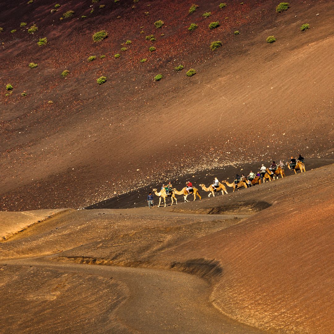 Ruta en camello en el Parque Nacional de Timanfaya en Lanzarote
