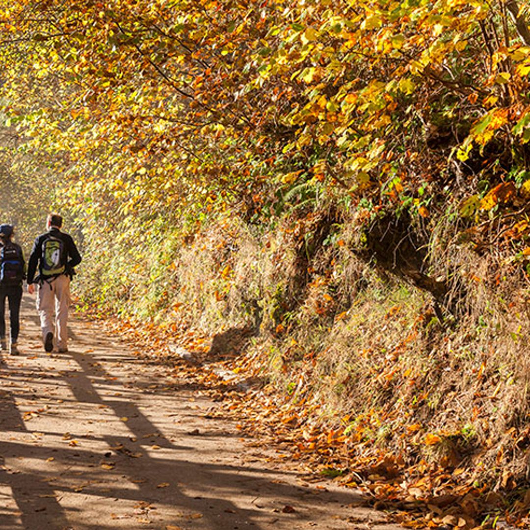 Pistas para descubrir el Parque Natural de Redes