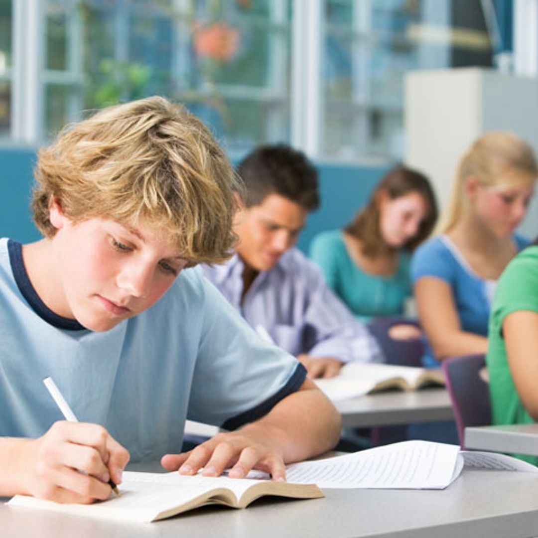 ¿Cómo influye la alimentación en el rendimiento escolar?