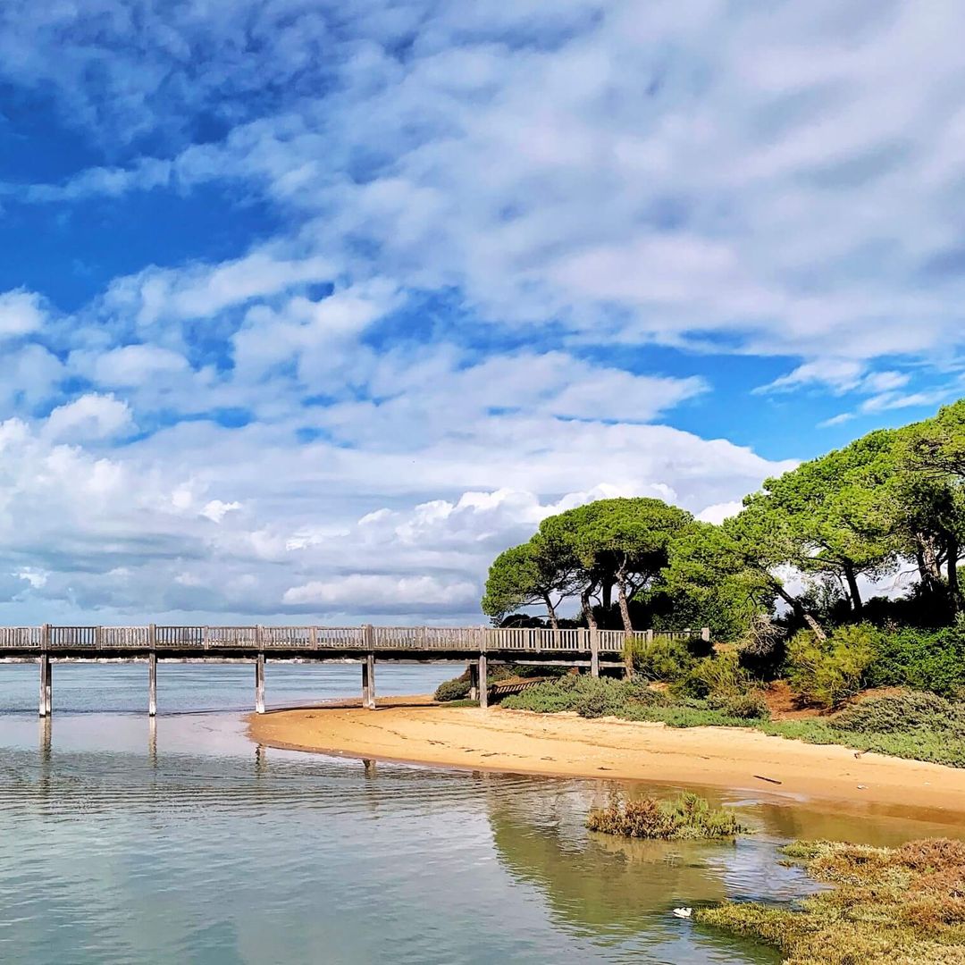Puerto Real, Cádiz