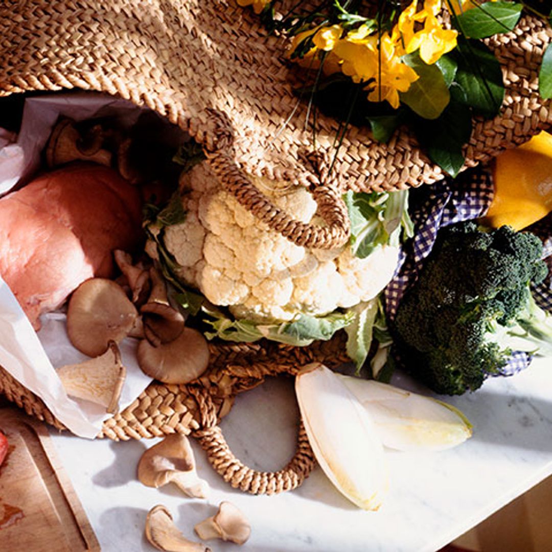 ¿Sabes de dónde obtener los minerales más importantes para tu organismo?