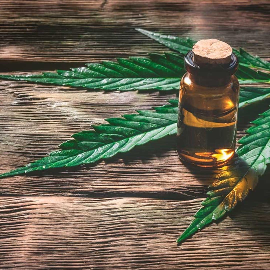 ¿Conoces el polémico aceite CBD?