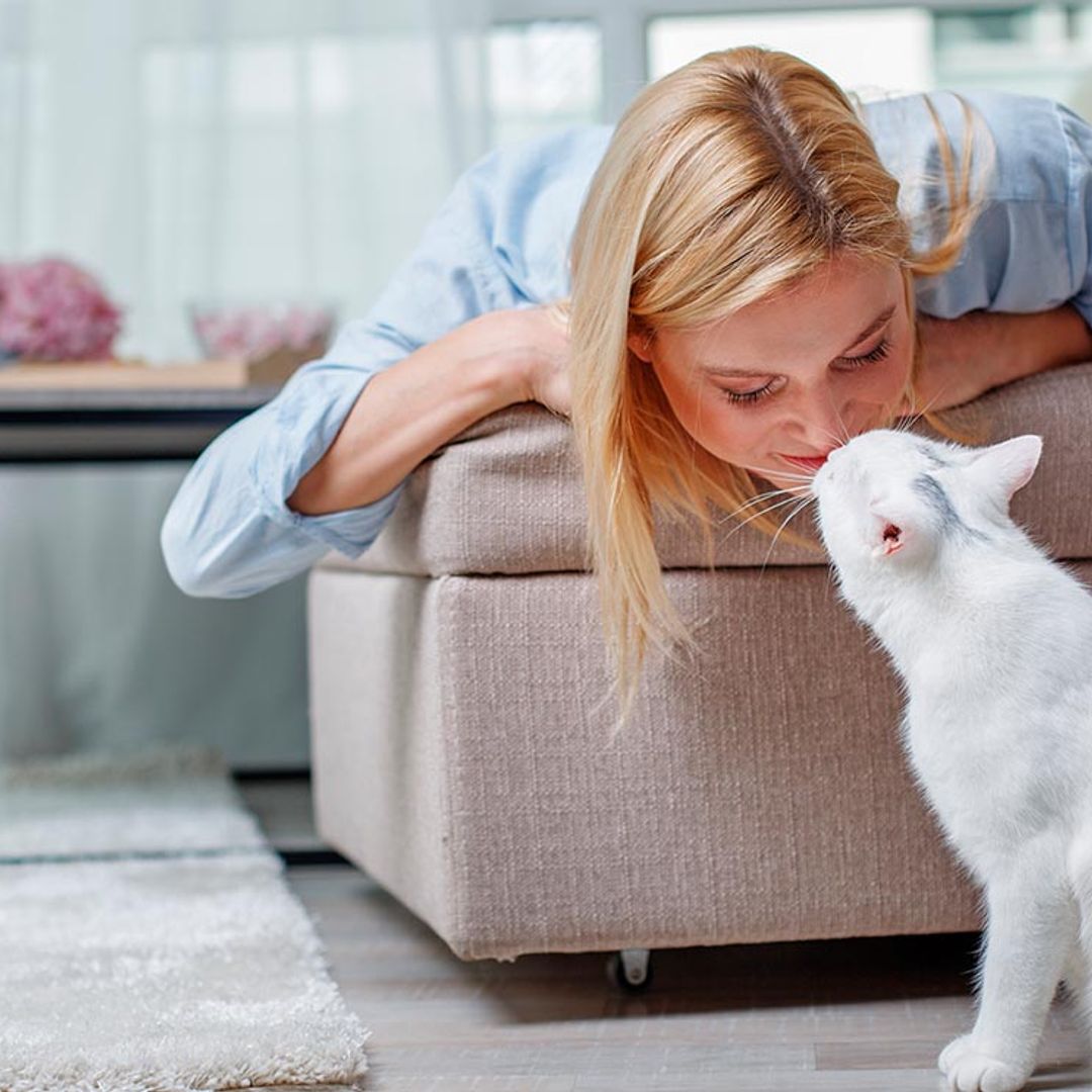 Actitudes que deberíamos aprender de nuestras mascotas