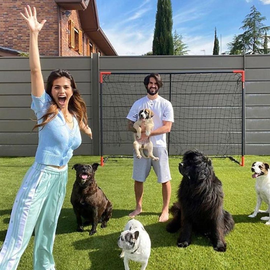 Las mascotas, la mejor compañía de las 'celebrities' en la cuarentena