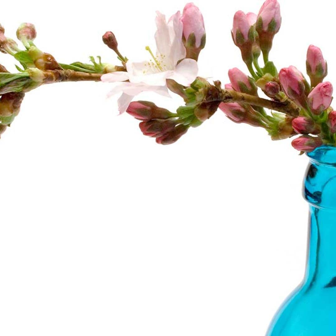 Convierte una vieja botella o un 'brik' de leche en un decorativo jarrón