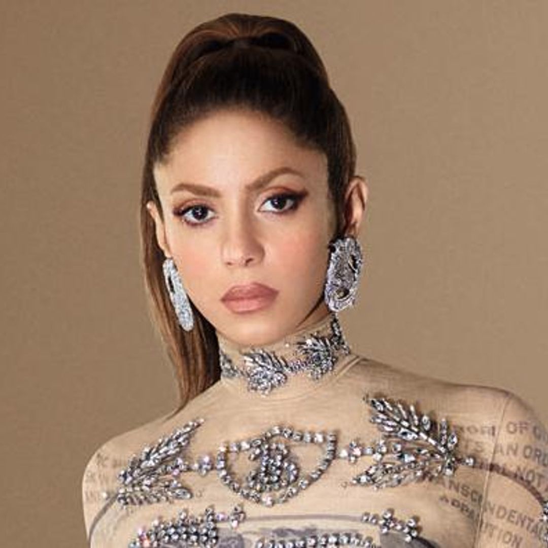 Shakira, todas las claves de su guerra judicial