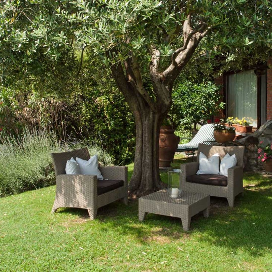 Cómo elegir las mejores plantas para un jardín mediterráneo