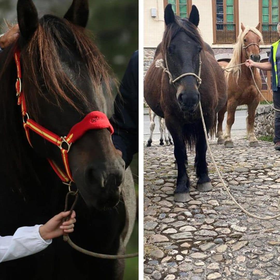 Qué fue de Xana, la yegua de la princesa Leonor y la infanta Sofía