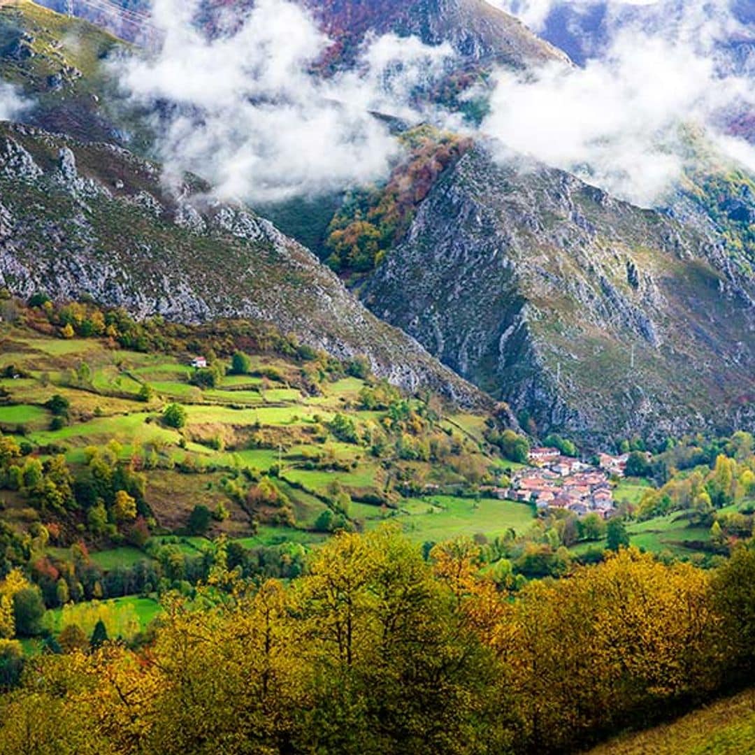 redes asturias