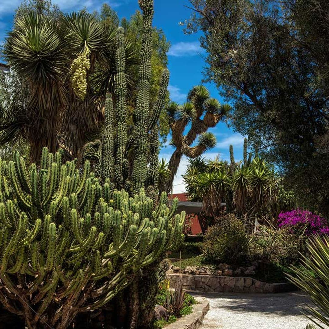 La paisajista Marta Puig ofrece las claves para diseñar un jardín que resista el cambio climático