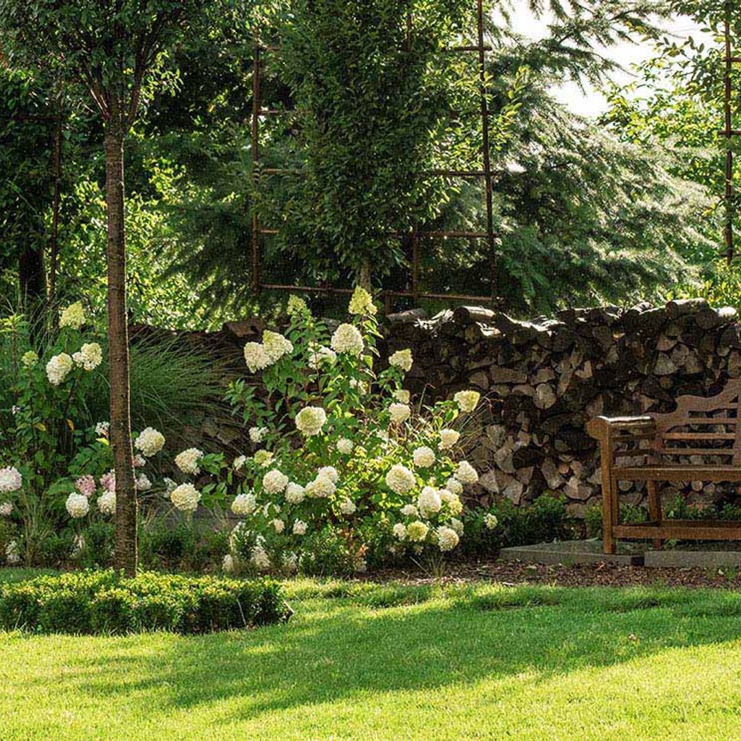 Así puedes emplear el mantillo para mejorar el sustrato de tus plantas en el jardín