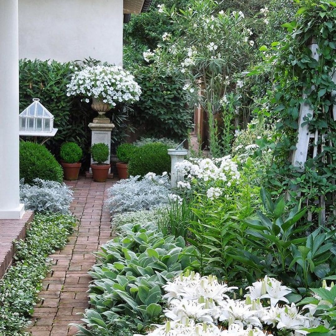 Las plantas que debes cultivar en tu jardín para tenerlo fresco, moderno y elegante