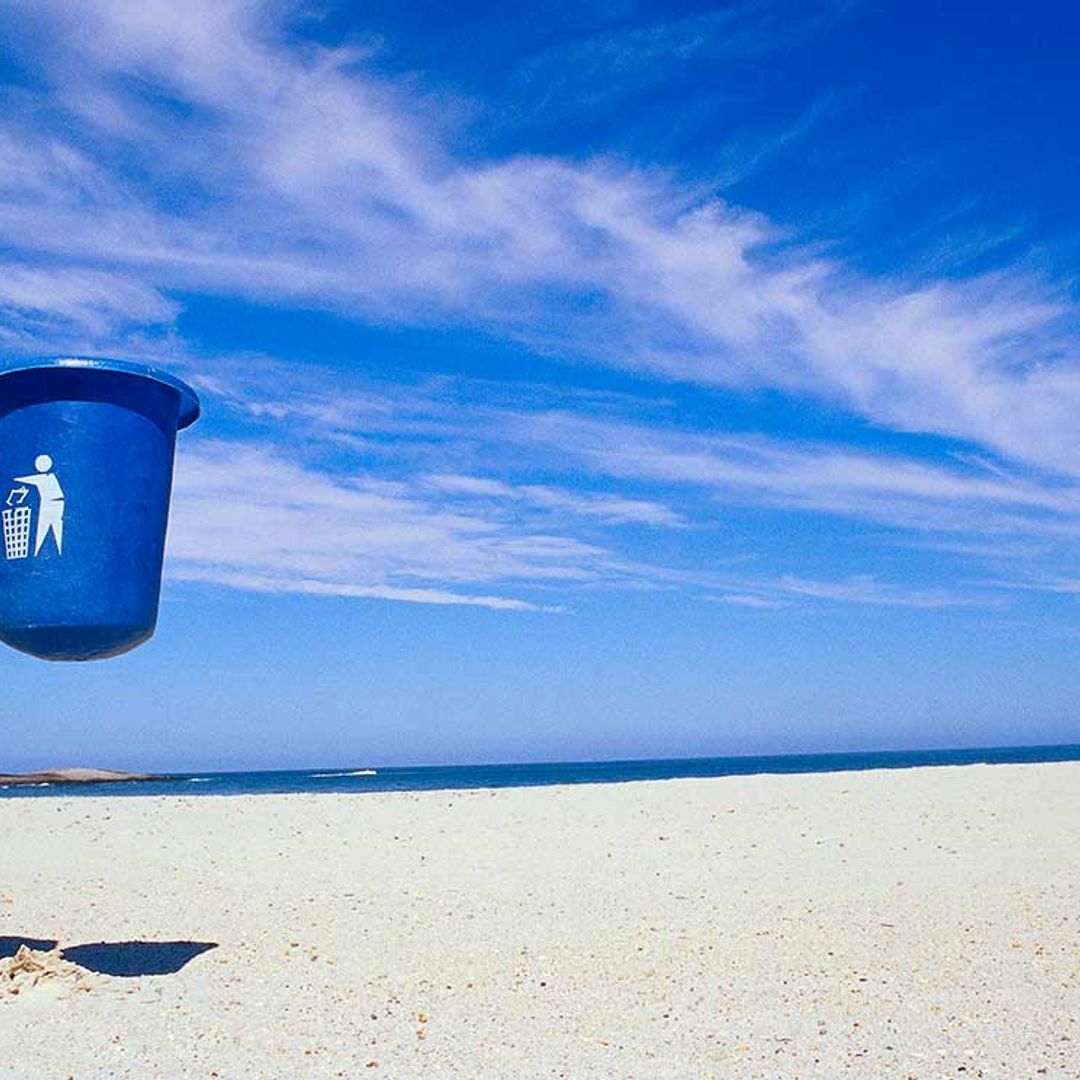 'The Fish', el vídeo con el que contribuirás a salvar 'el paraíso'