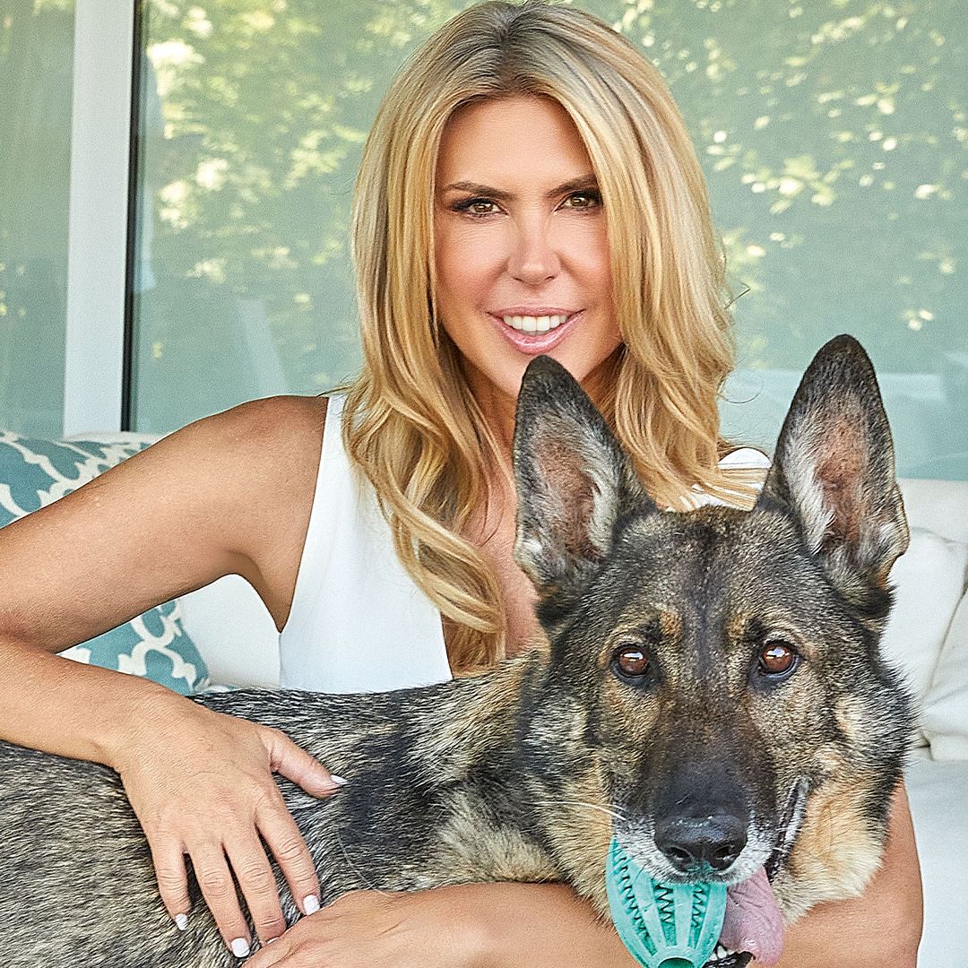 Patricia Olmedilla nos presenta a Sultán: de perro de defensa a un miembro más de su familia