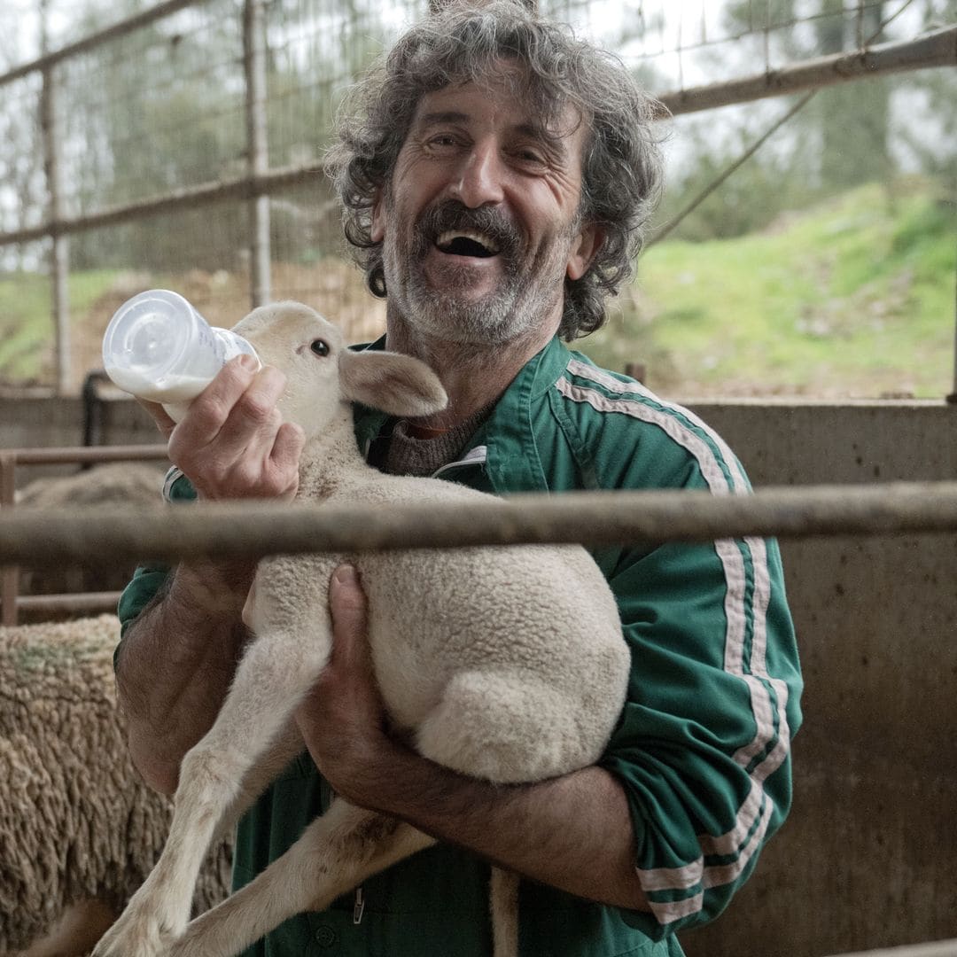 9 animales que nos robaron el corazón en la pantalla