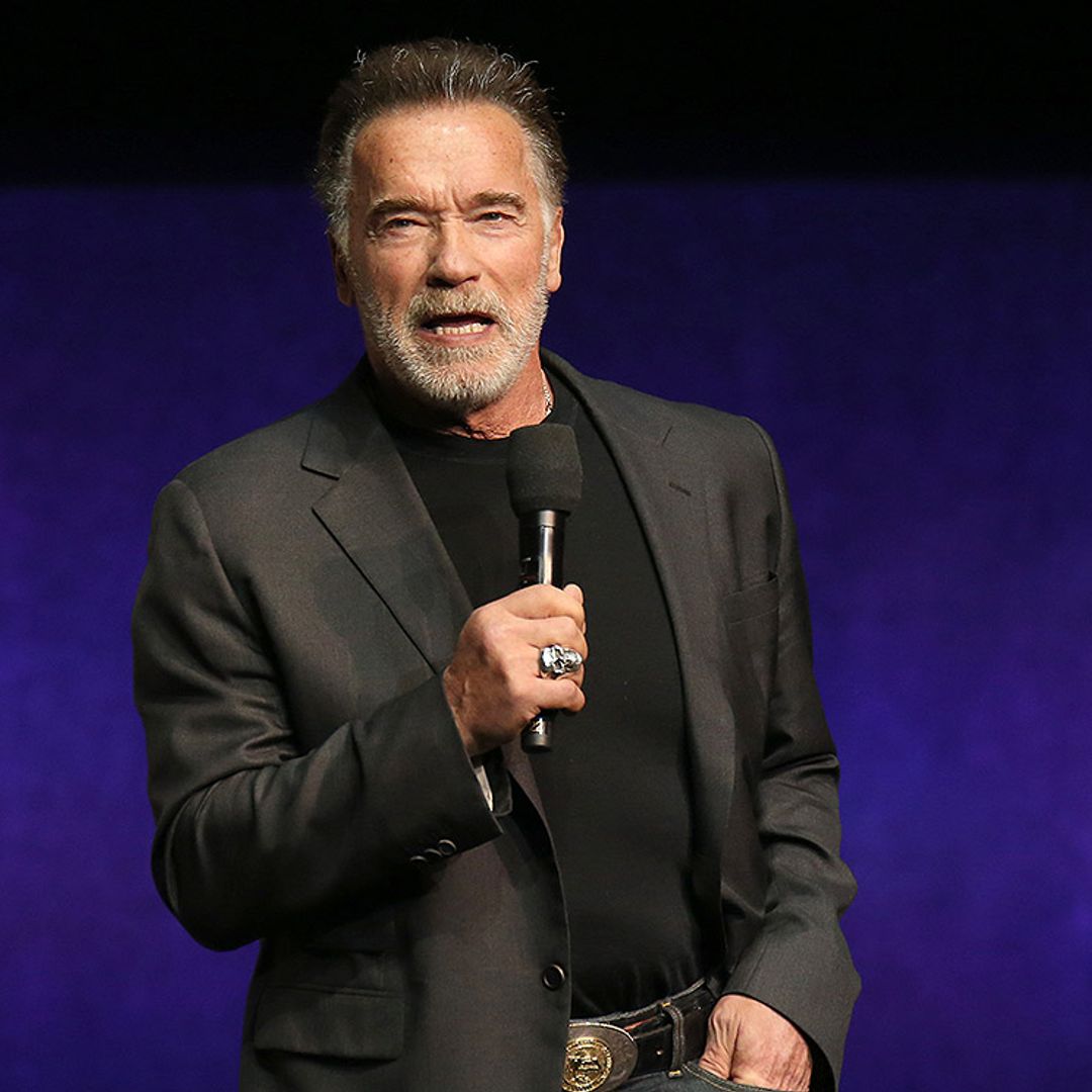 Arnold Schwarzenegger continuará el legado de Stan Lee con una serie animada