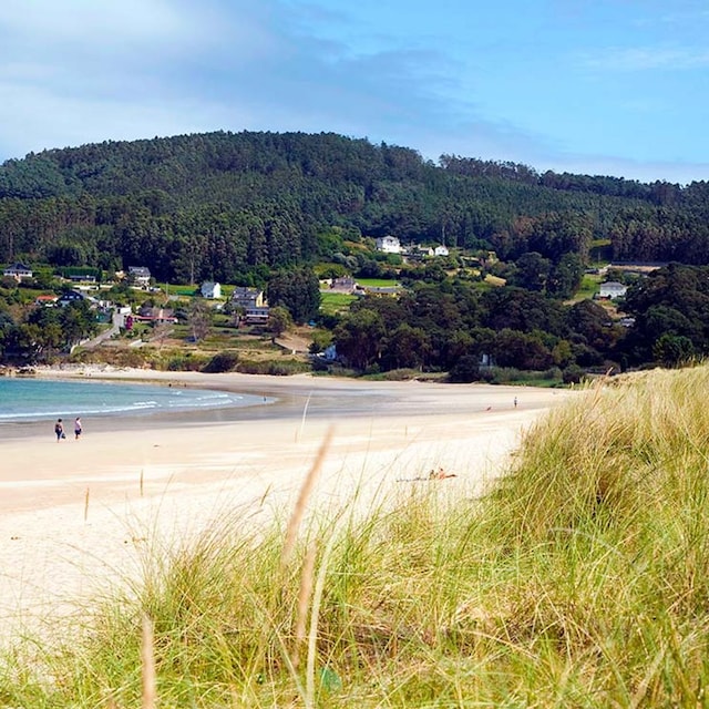 area viveiro b5h0d3