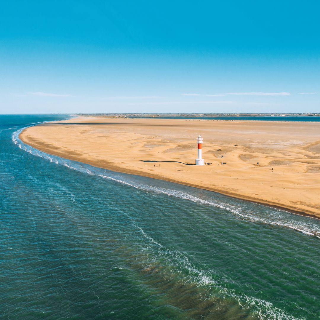 Delta del Ebro: playas salvajes, arrozales infinitos y ostras en la escapada natural más sorprendente del Mediterráneo