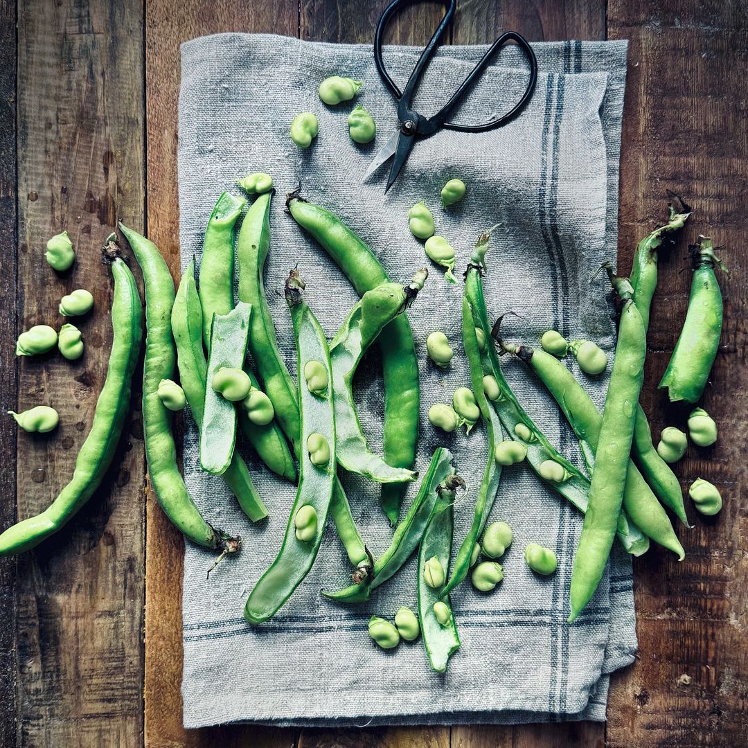 Habas tiernas: el superalimento de primavera que deberías comer ya