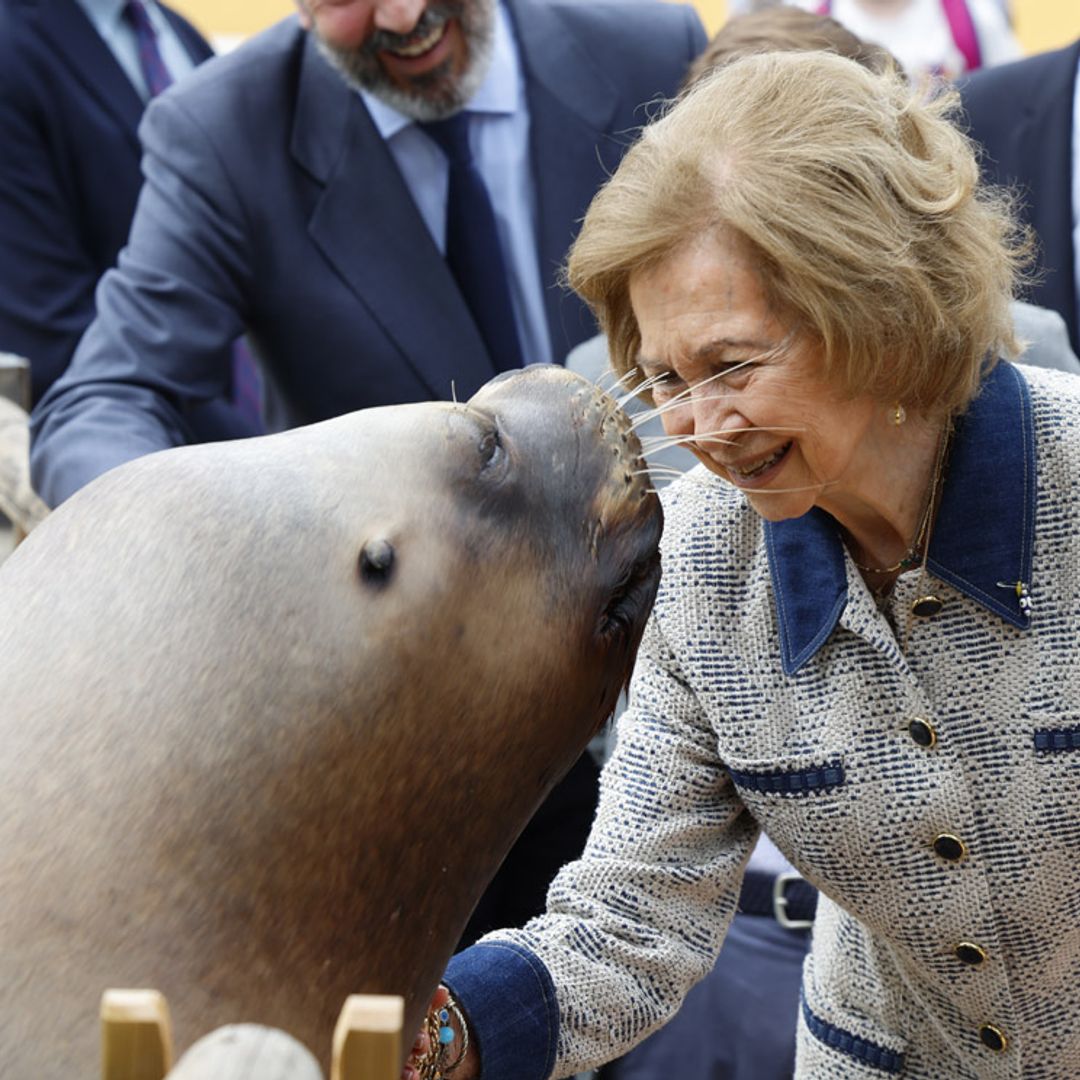 Las curiosas imágenes de la reina Sofía con un león marino en el Zoo de Madrid