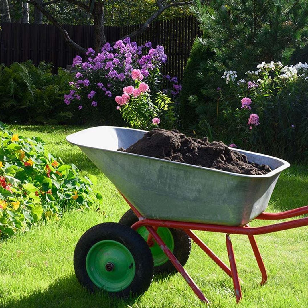 ¿Es necesario abonar las plantas en otoño? Claves para no equivocarse