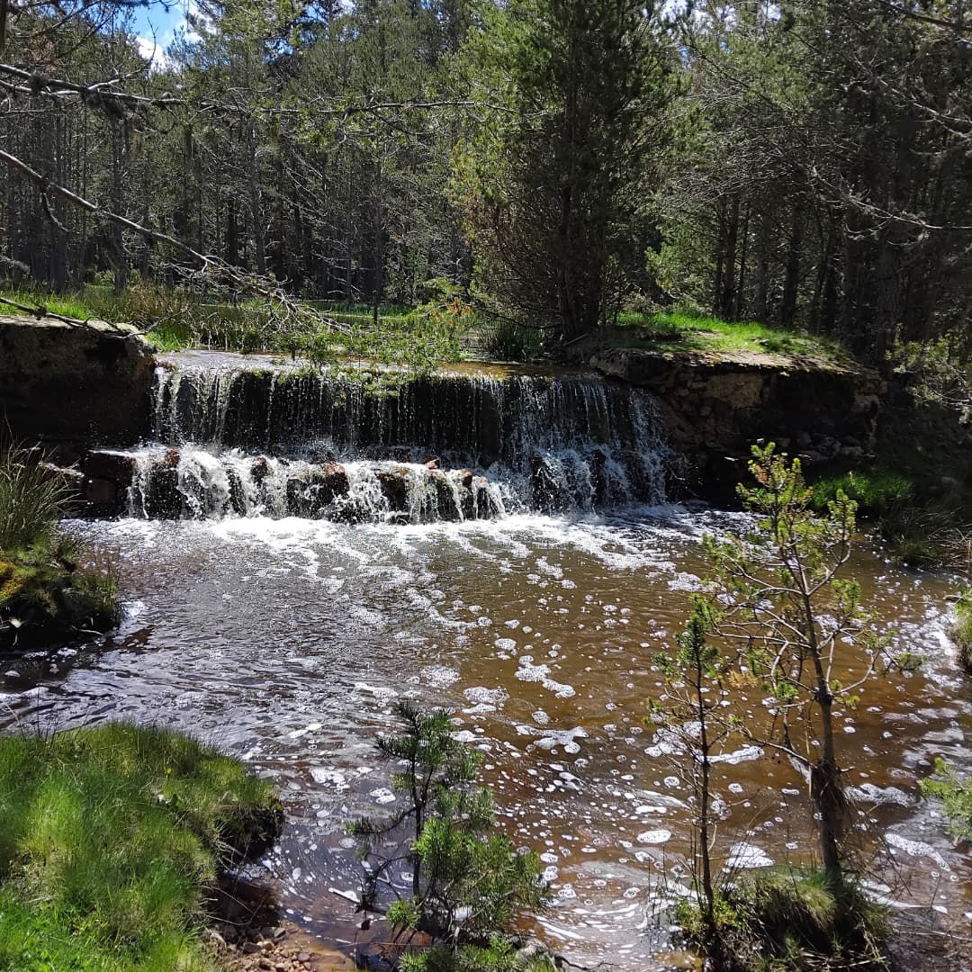Entorno de Bronchales, Teruel
