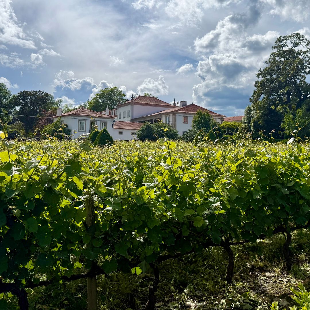 Jardín de la Casa Magnolia, Santar, Portugal