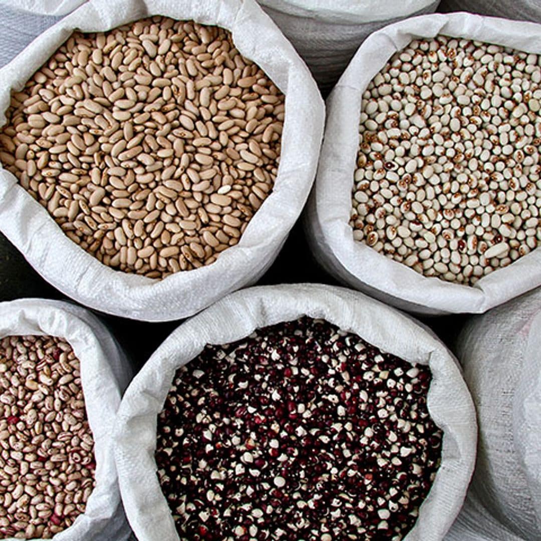 Alubias para dar y tomar, recetas para disfrutar de cada variedad de esta legumbre
