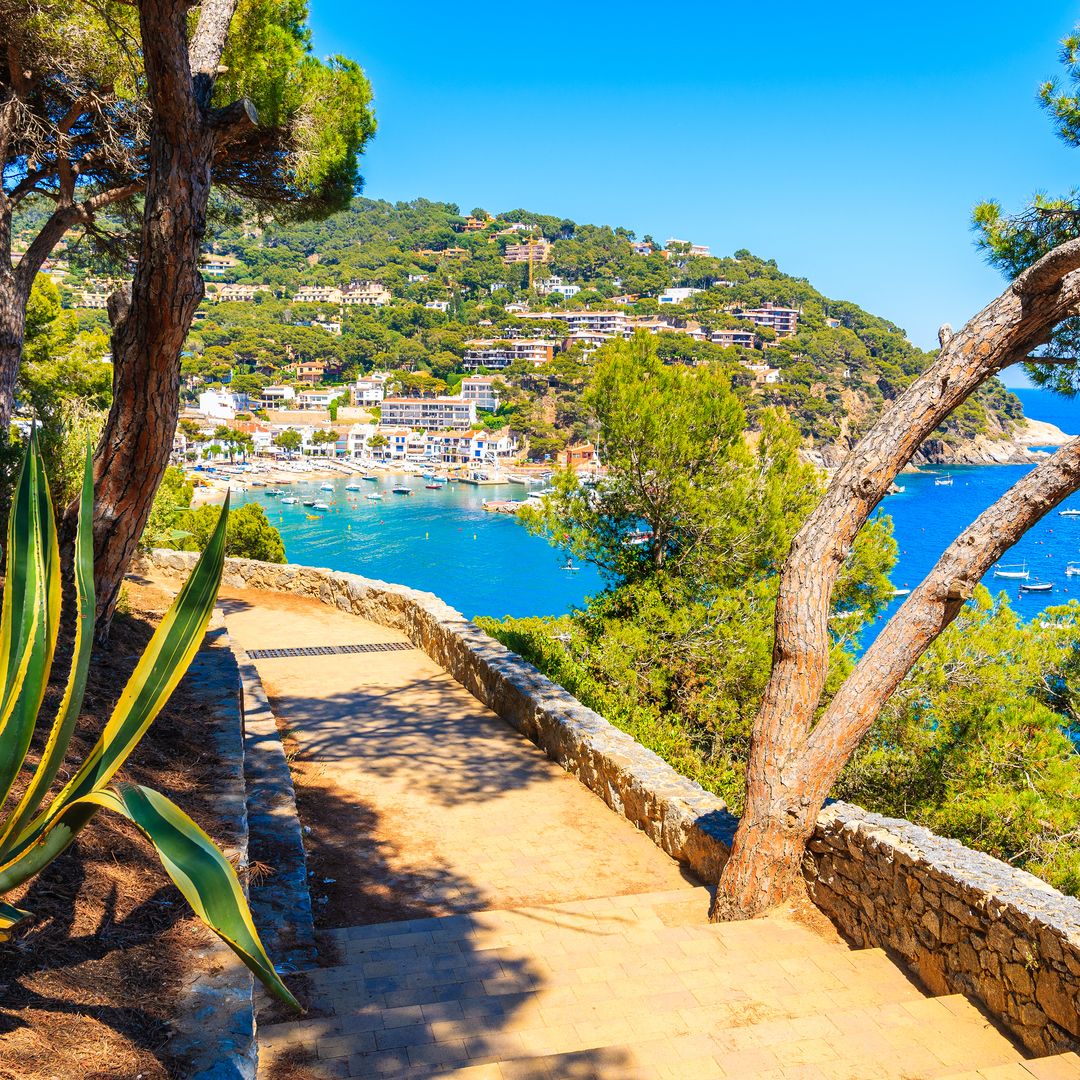Llafranc desde el camino de ronda, Costa Brava, Girona