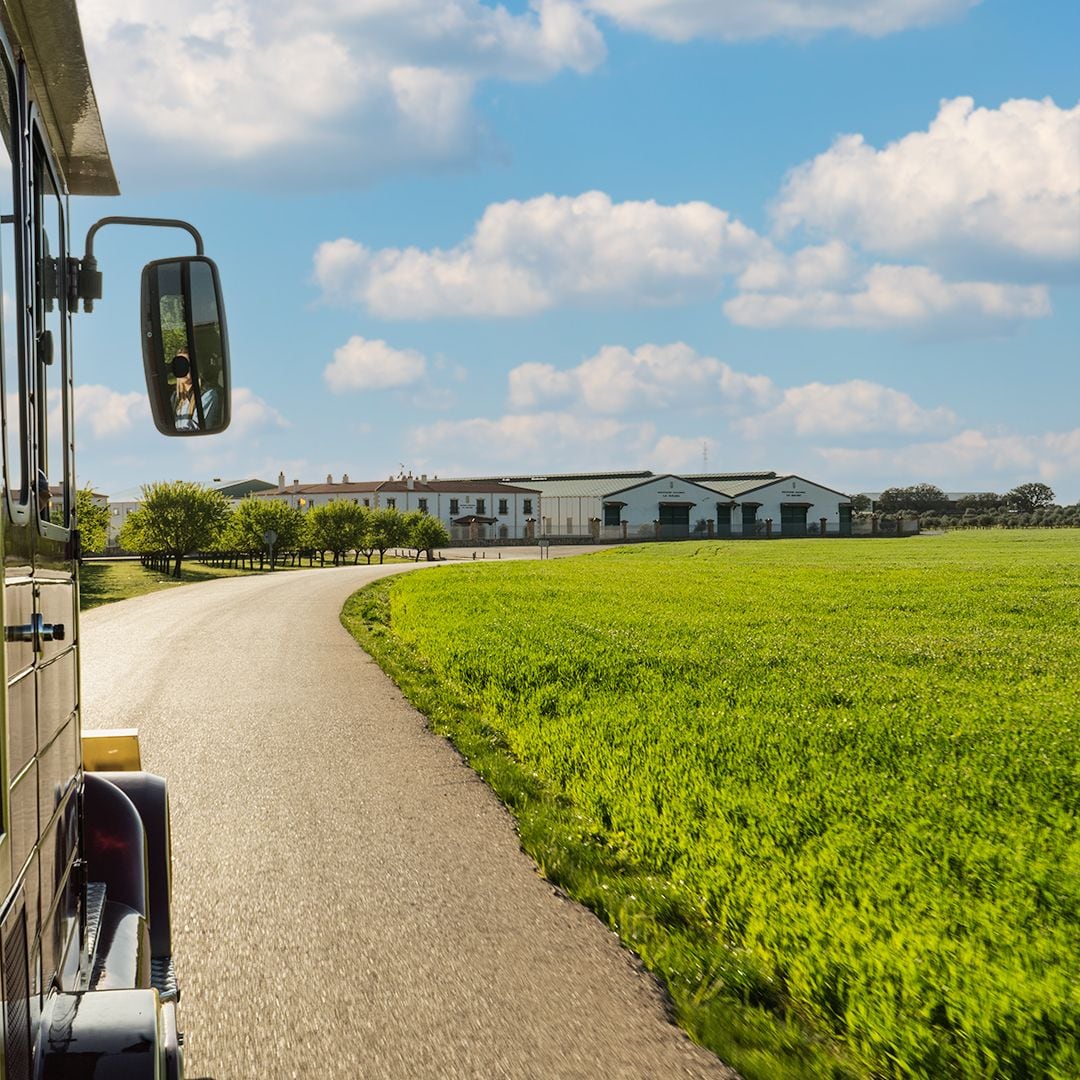 Finca de La Jaraba, Albacete