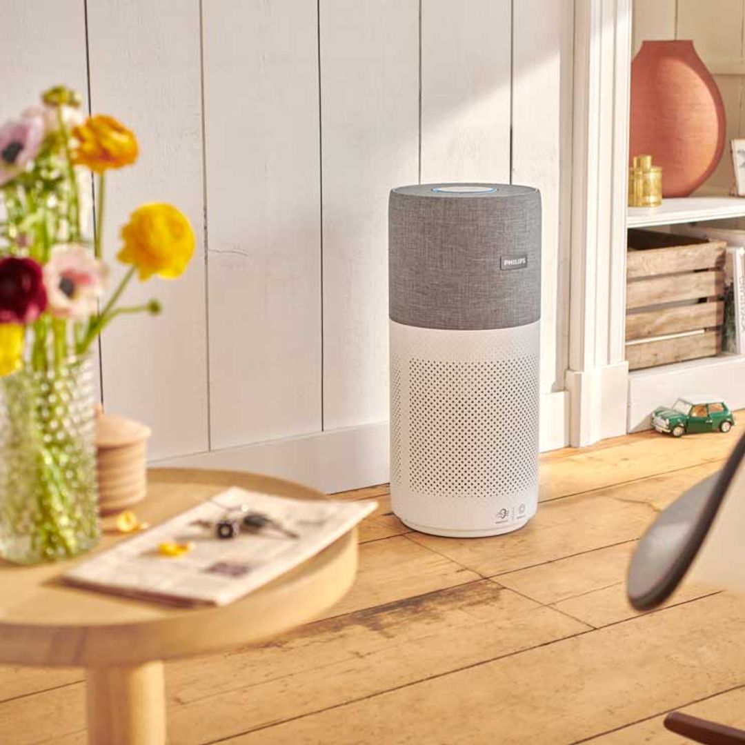 Por qué debes tener un purificador de aire en tu casa