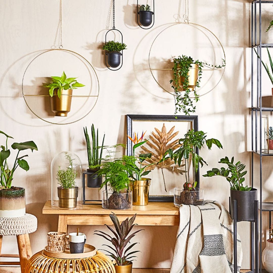 Ideas de decoración para combatir el trastorno por déficit de naturaleza