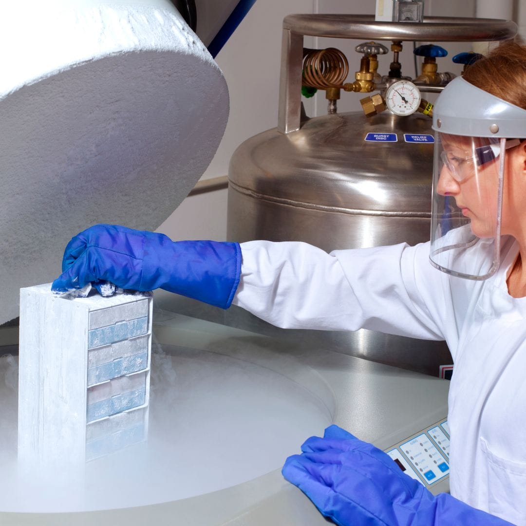 Guardan bacterias de nuestras heces a -80 °C: el plan secreto para preservar la vida tal como la conocemos