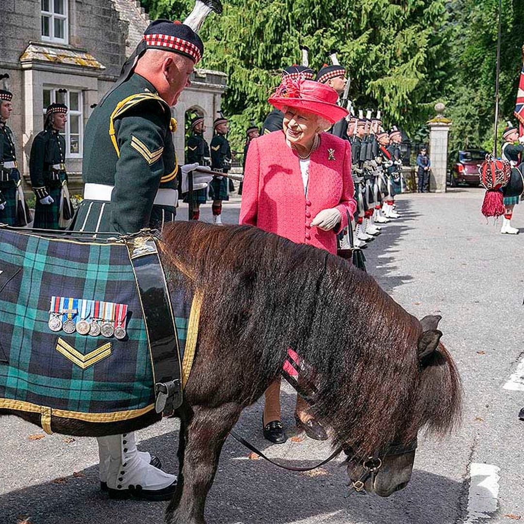 Isabel II se reencuentra con un viejo conocido ecuestre en su recepción de Balmoral