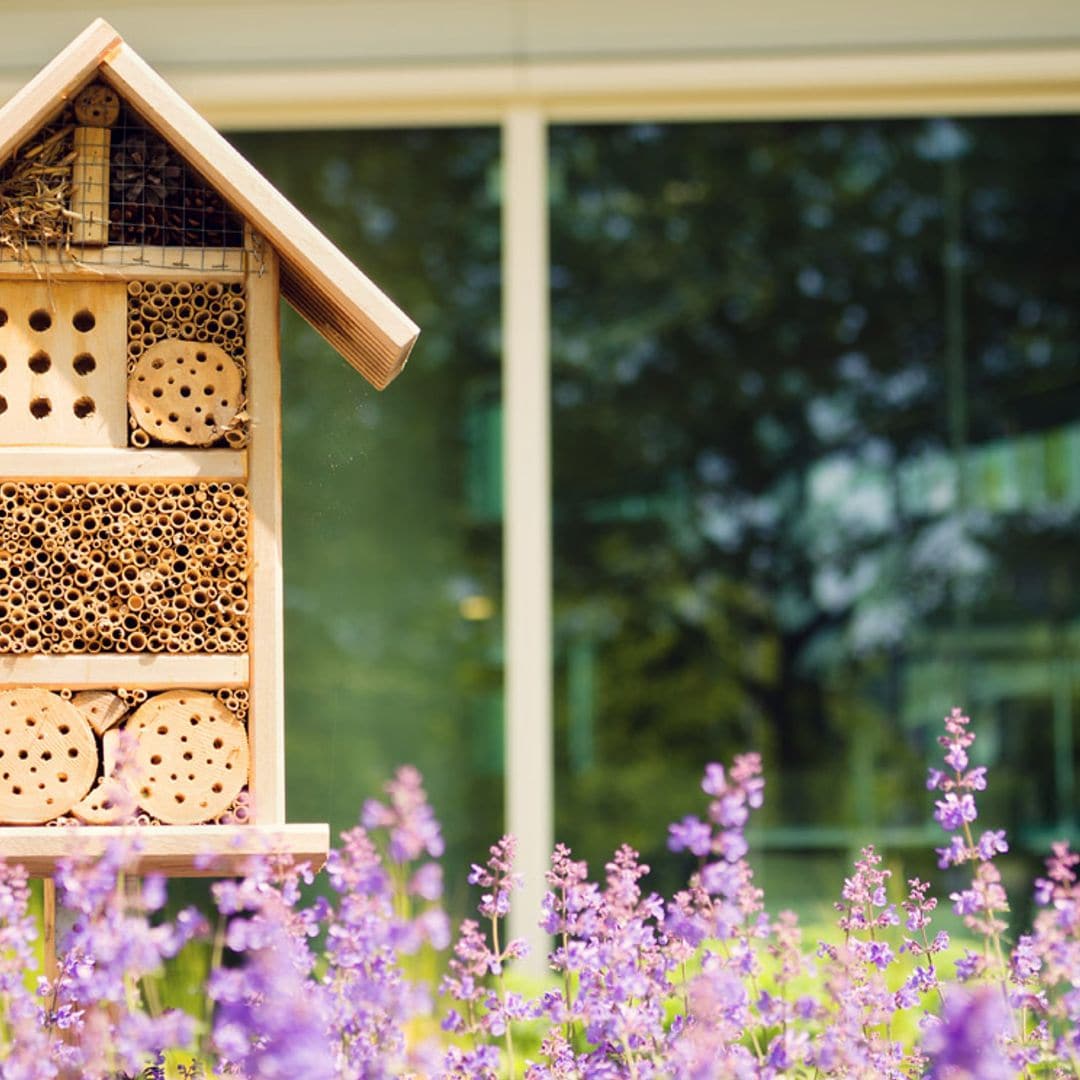 ¿Te animas a tener un hotel para insectos en tu jardín? Así ayudarás al medio ambiente