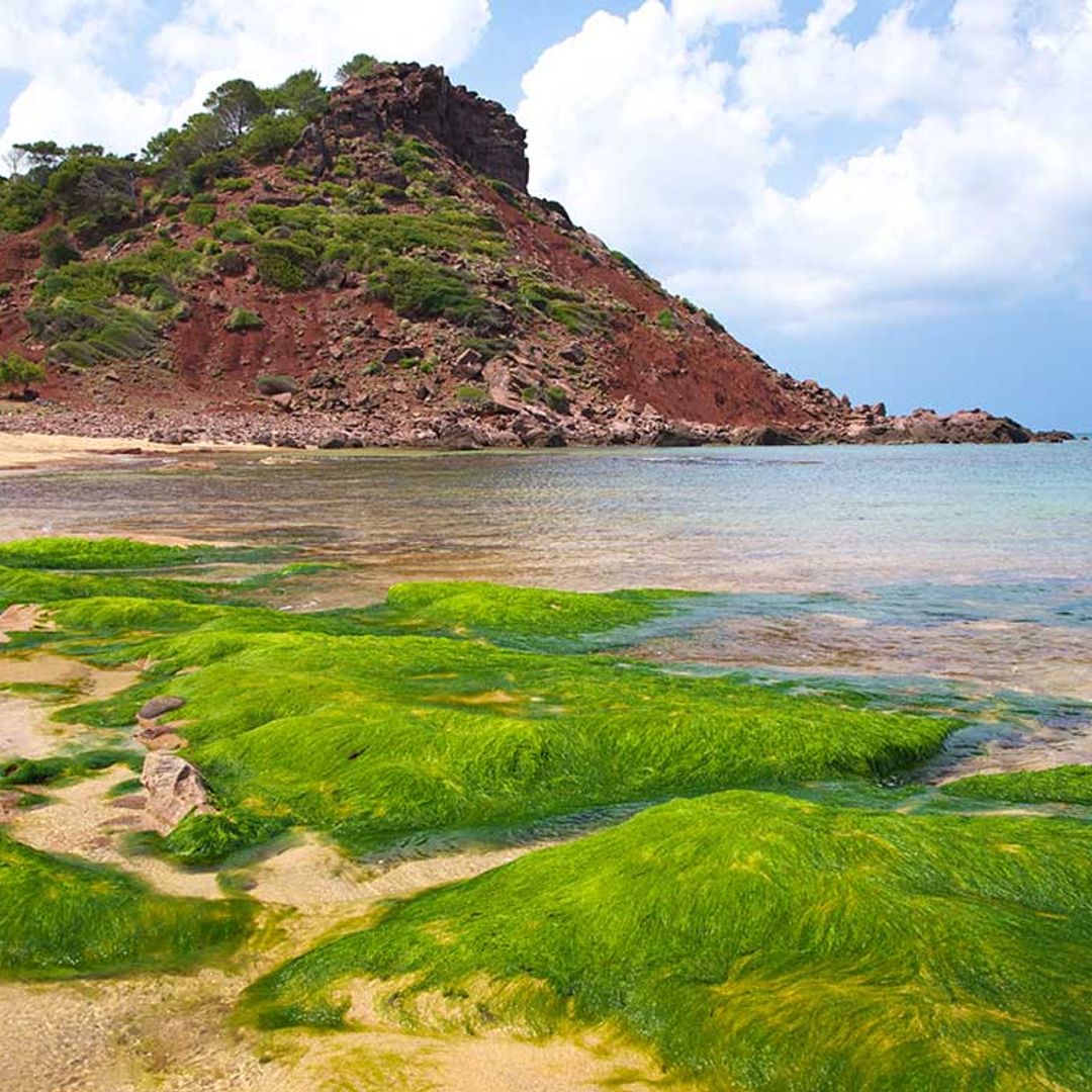 El plástico inunda las costas de las Baleares de forma preocupante