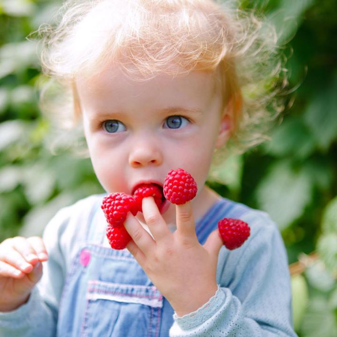 Desmontamos 10 de las creencias más extendidas sobre la alimentación infantil