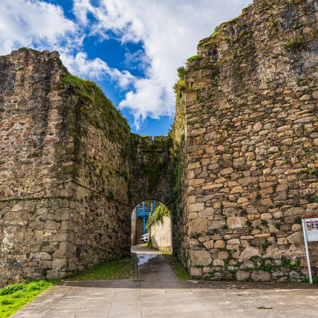 Monforte de Lemos: muralla, Porta Nova